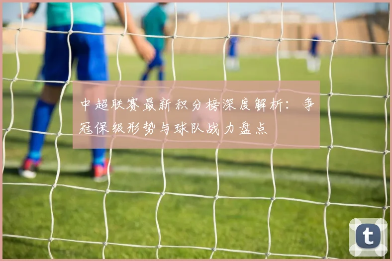 中超联赛最新积分榜深度解析:争冠保级形势与球队战力盘点
