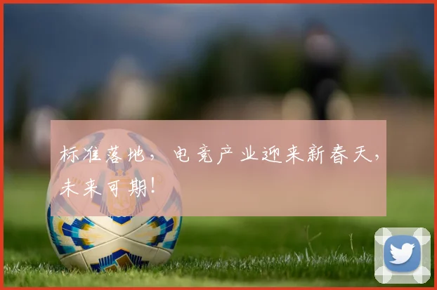 标准落地,电竞产业迎来新春天,未来可期!
