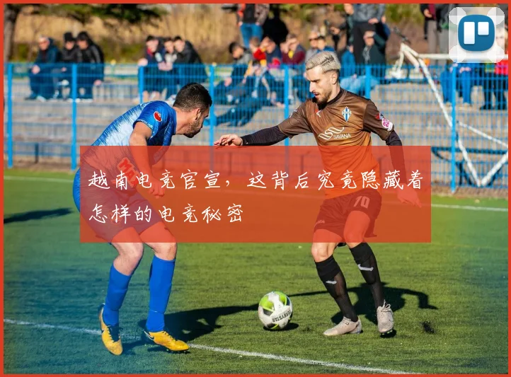 越南电竞官宣,这背后究竟隐藏着怎样的电竞秘密
