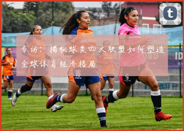 专访：揭秘球类四大联盟如何塑造全球体育经济格局
